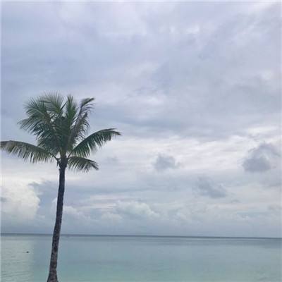 赛博体育app下载