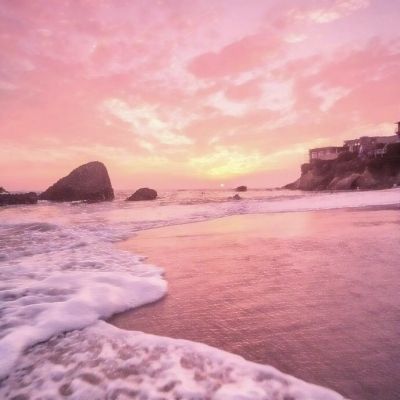 im电竞官方网站入口