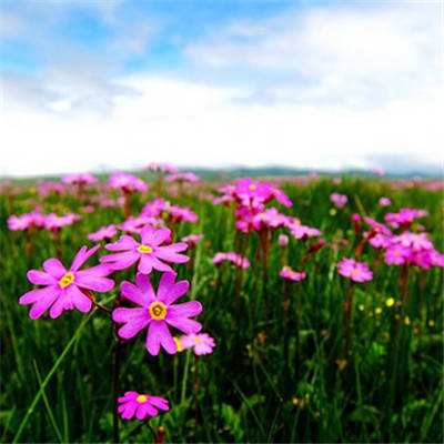 奥亚国际-登录入口